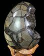 Septarian Dragon Egg Geode - Black Crystals #72065-2